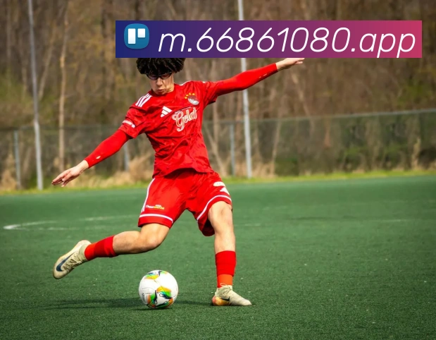 6686APP 封面图